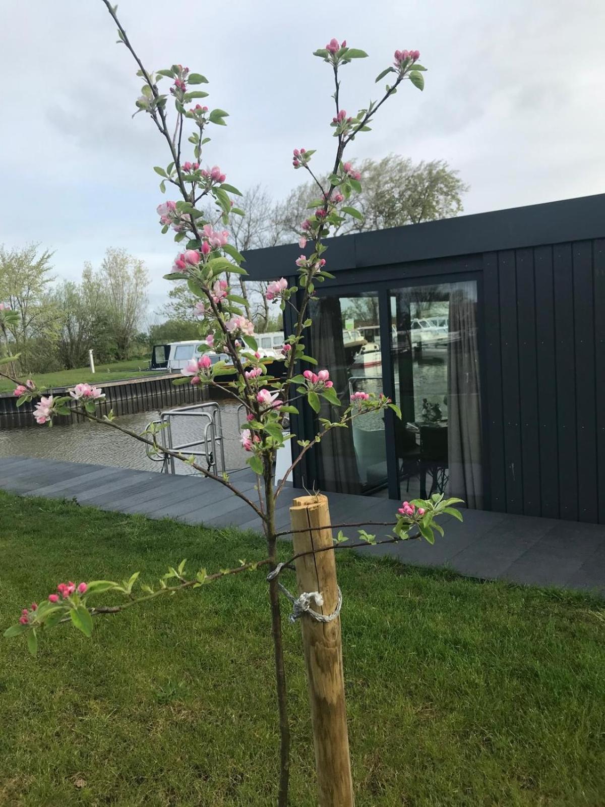 Uniek Overnachten In Een Tiny House Op De Appelhof Wommels Dış mekan fotoğraf