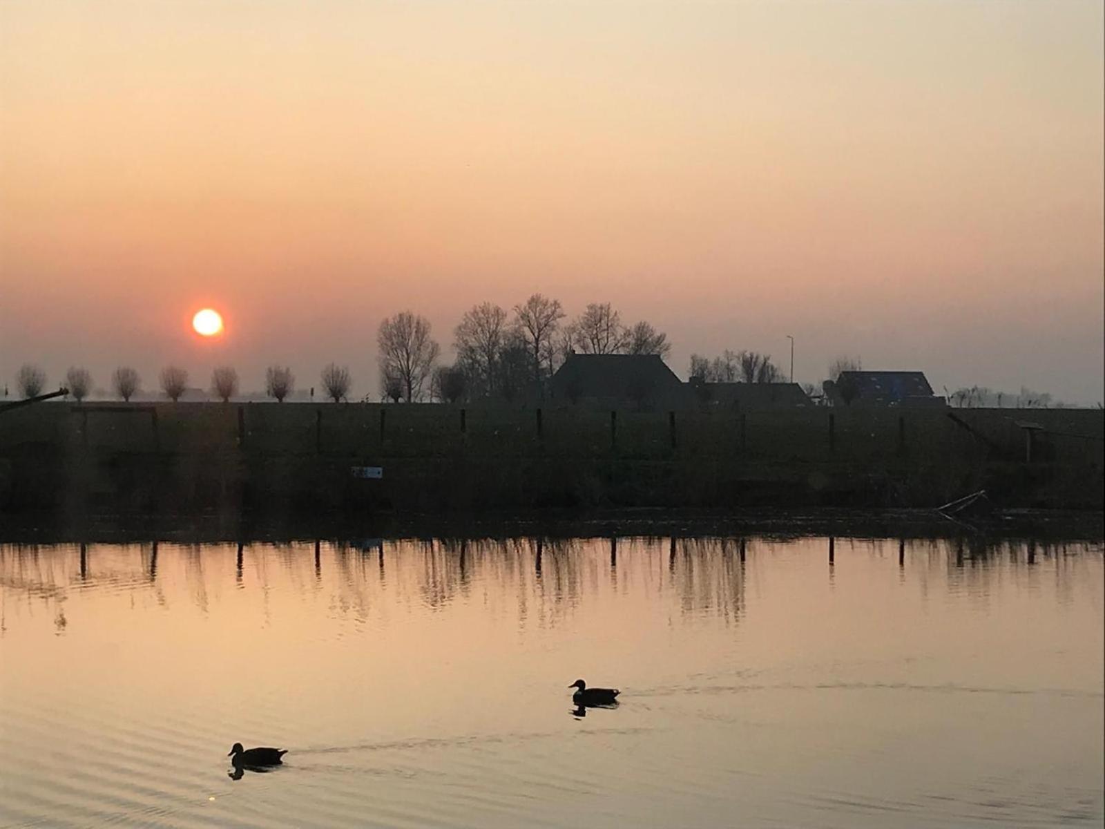 Uniek Overnachten In Een Tiny House Op De Appelhof Wommels Dış mekan fotoğraf